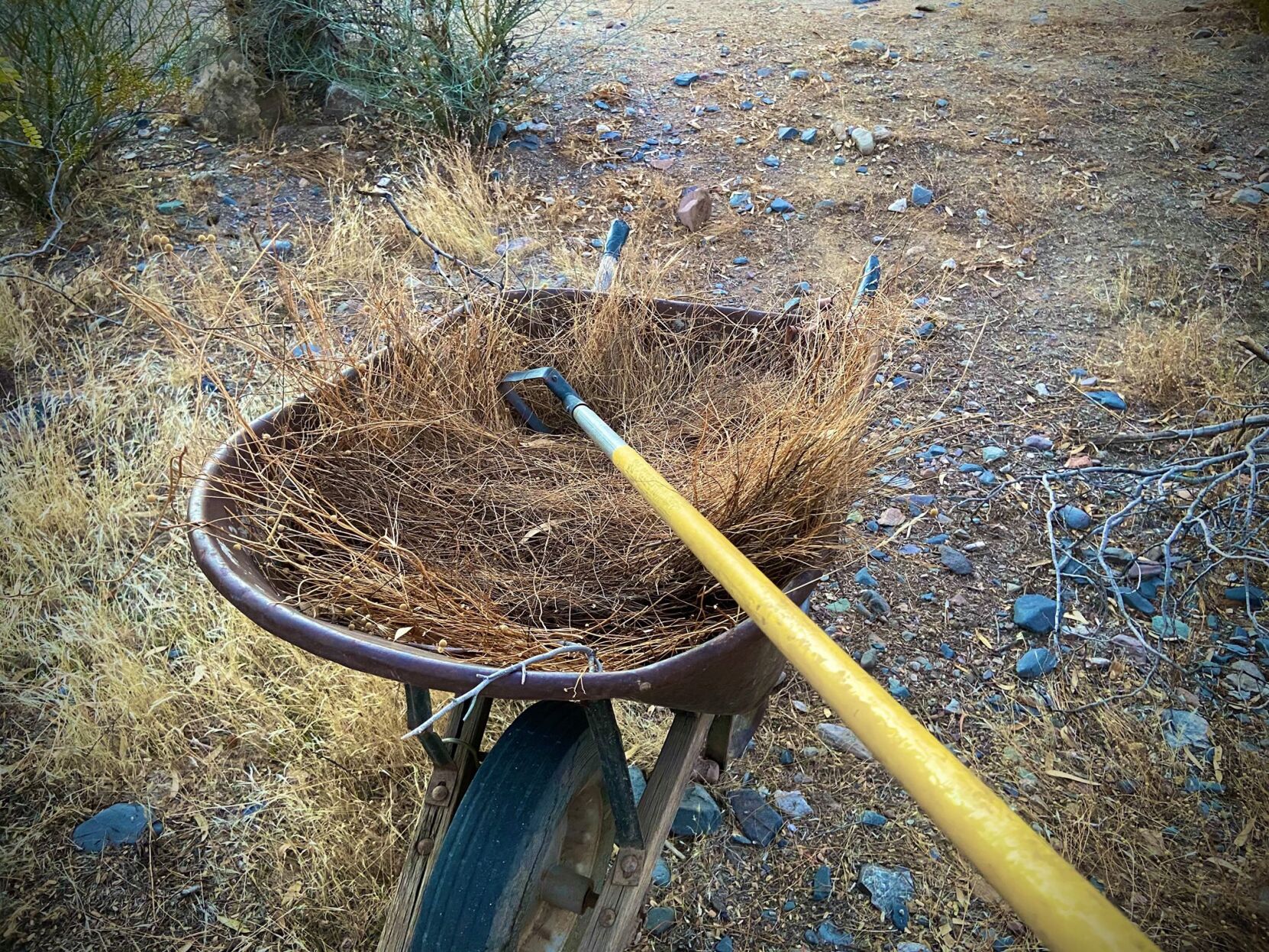 Town of Cave Creek Green Cleanup